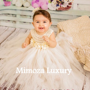 Baby Flower Girl dress, christening gown