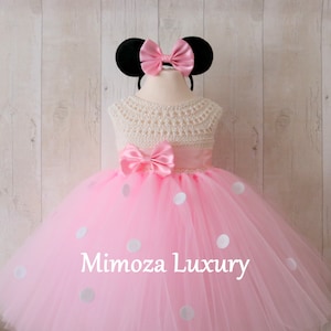 Minnie mouse birthday dress, girls minnie pink dress, pink minnie tutu dress