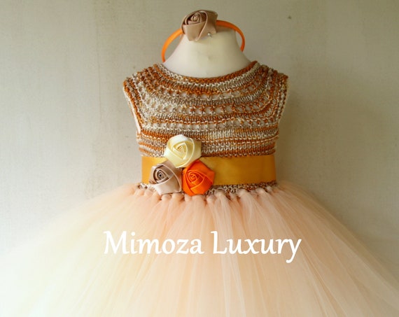 Caramel Girls tutu dress, 1st birthday dress