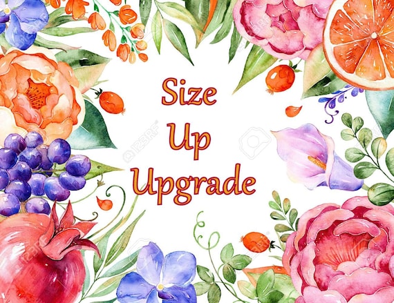 size up upgrade