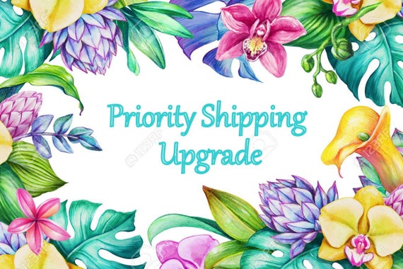 Express shipping upgrade, Shipping duration 1-3 working days after is being Dispatched
