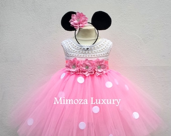 Minnie mouse dress 1st birthday tutu dress