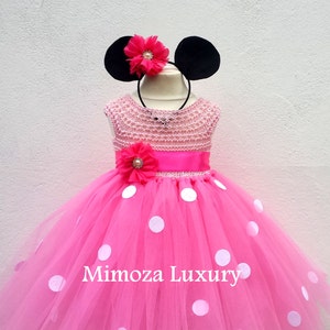 Minnie Maus Geburtstagskleid, rosa Minnie Maus Outfit, 1. Geburtstag Tutu Kleid, Minnie Maus Themen Party, Minnie Maus Ohren, Minnie Kleid