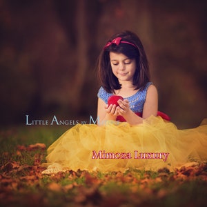Snow White Luxury Princess dress, Flower girl dress, tutu dress, blue crochet top yellow tulle dress, knit tutu dress snow white