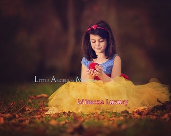 Snow White Luxury Princess dress, Flower girl dress, tutu dress, blue crochet top yellow tulle dress, knit tutu dress snow white