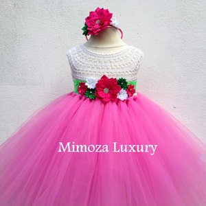 Strawberry shortcake Dress, strawberry costume, strawberry shortcake theme party, strawberry shortcake tutu dress, birthday party dress