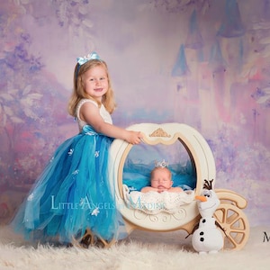 Elsa Frozen princess dress