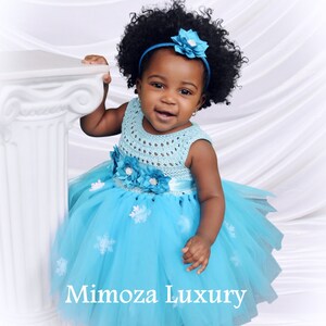 Elsa tutu dress, Frozen Princess Elsa, Elsa Costume, Frozen Party, Winter Wonderland