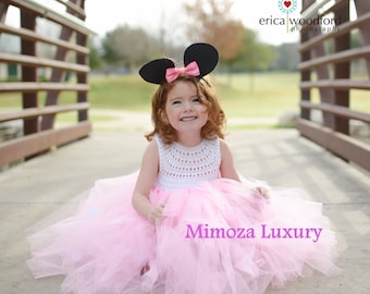 Minnie mouse birthday dress