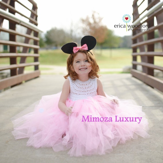 Minnie mouse birthday dress