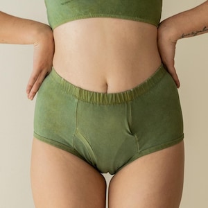 Organic Hemp Brief, Underwear, Natural Dye Boxer Briefs, Green Organic Cotton Trunks