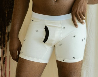 Organic Print Underwear, Cotton Boxer Brief, Ants in Pants Print, Made to Order
