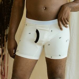 Organic Print Underwear, Cotton Boxer Brief, Ants in Pants Print, Made to Order