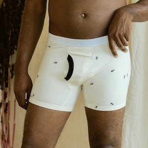 Poop Stain Underwear 