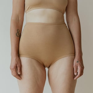 Hemp Blend Underwear, High-Waisted Briefs, Terracotta Undies, Organic Cotton Blend