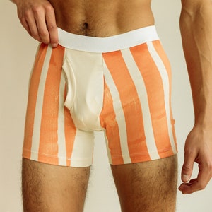 Red Stripe Boxer Brief, Organic Cotton Red Stripe Underwear