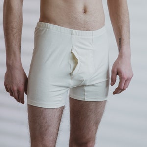Organic Hemp Brief or Boxer Brief, Mens Underwear, Organic Cotton Blend Trunk image 1