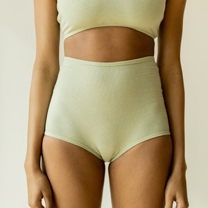 Hemp Blend Underwear, Light Blue Green High-Waisted Brief, Organic Cotton Blend Undies