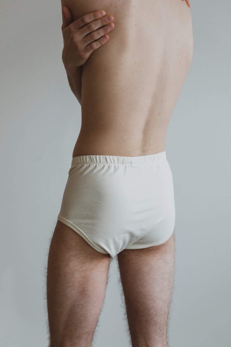 Organic Hemp Brief or Boxer Brief, Mens Underwear, Organic Cotton Blend Trunk image 7