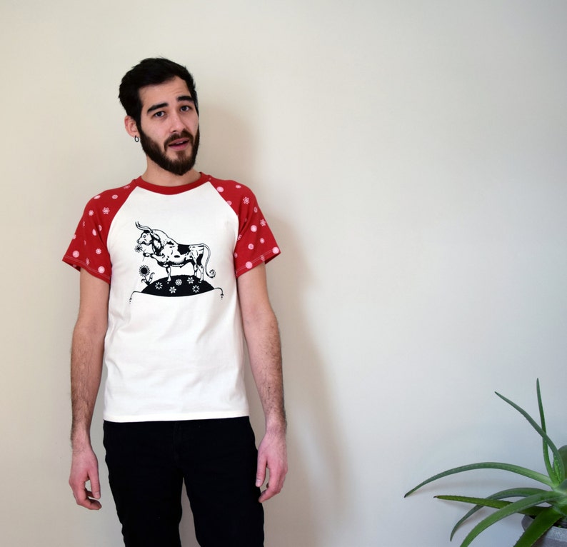 Ferdinand T-Shirt, Organic Cotton Ferdinand the Bull Shirt, Raglan Unisex Tee, Red and White Floral Print image 2