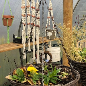 May include: A set of six macrame plant hangers with wooden beads hanging from a wooden beam in a greenhouse. The hangers are made of natural white cotton cord and have a tassel at the bottom.