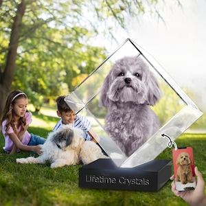 Pet Photo in Diamond 3D Crystal photo dog loss Custom Laser Engraved Keepsaker Dog or Cat Personalized Gift for Pet Lovers  3D Crystal Brick