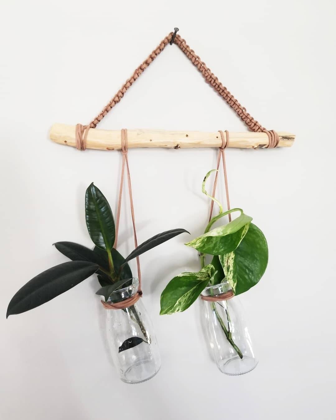 Jardín de hierbas interiores y estación de propagación | Etsy