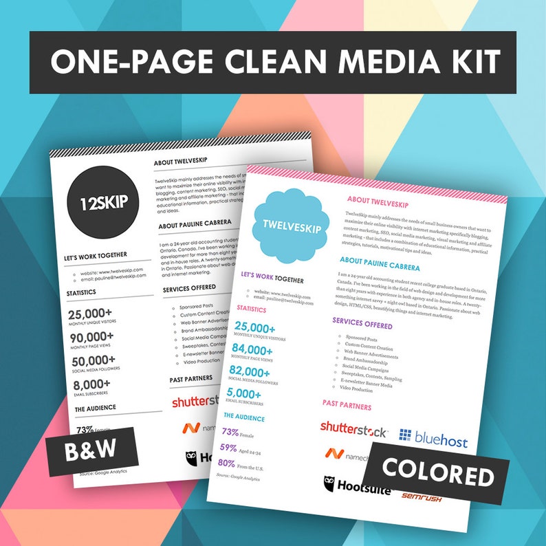 Example 5: Nonprofit One-Page Media Kit Template