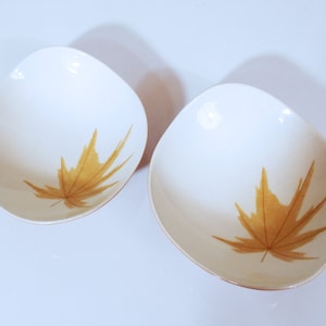 Pair of Harvest Time Dinner Bowls by Ben Seibel for Iroquois Informal