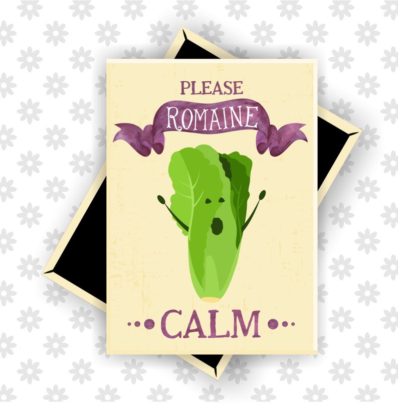 Romaine Calm, Funny Fridge Magnets, Don't Panic, Funny Magnets, Food Puns, Pun Magnets, Encouragement Gift, Cute Kitchen Magnets, Vegan 