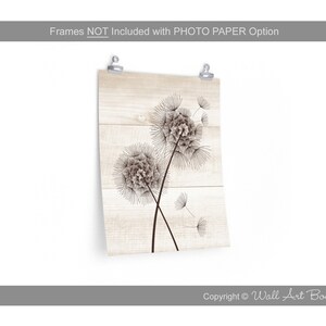 May include: A print featuring a dandelion design in black and brown tones. The artwork is mounted on a light-colored, wood-grain background and held by silver clips. The text at the top reads "Frames NOT Included with PHOTO PAPER Option".