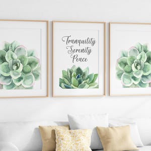Zen Framed Wall Art Prints, Green Succulent Pictures Decor, Tranquility Serenity Peace Yoga Canvas Art - HOME777