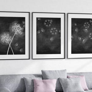 May include: A set of three framed wall art prints featuring white line drawings of dandelion seed heads against a dark charcoal grey background. Each rectangular print is enclosed in a thin black frame, displaying botanical illustrations.