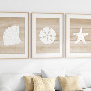 Beige Beach House Decor, Ocean Bathroom Art, Sand Dollar Starfish Seashell, Beach Bedroom CANVAS or PRINTS, Guest Room Decor - HOME693