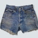 see more listings in the Vintage Shorts section