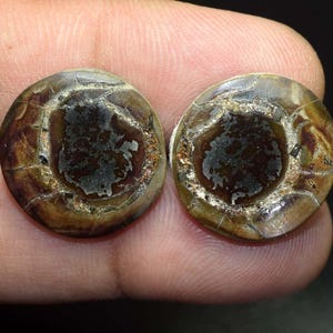 Par de aretes de gronates septarianos 100 % naturales, 26,00 ct., par de cabujón, gemas a juego, gronates septarianos de diseñador