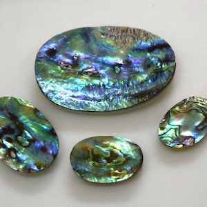 Natuurlijke abaloneschelp, natuurlijke abaloneschelp curvy cabochon losse edelsteen, natuurlijke abaloneschelp voor het maken van sieraden 4 stuks