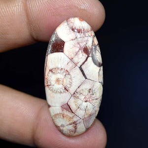 Jaspe oeil d'oiseau 29,50 cts. Cabochon ovale en jaspe oeil d'oiseau 100 % naturel, pierre précieuse en vrac, pour bijoux d'emballage métallique, pendentif en jaspe, bague