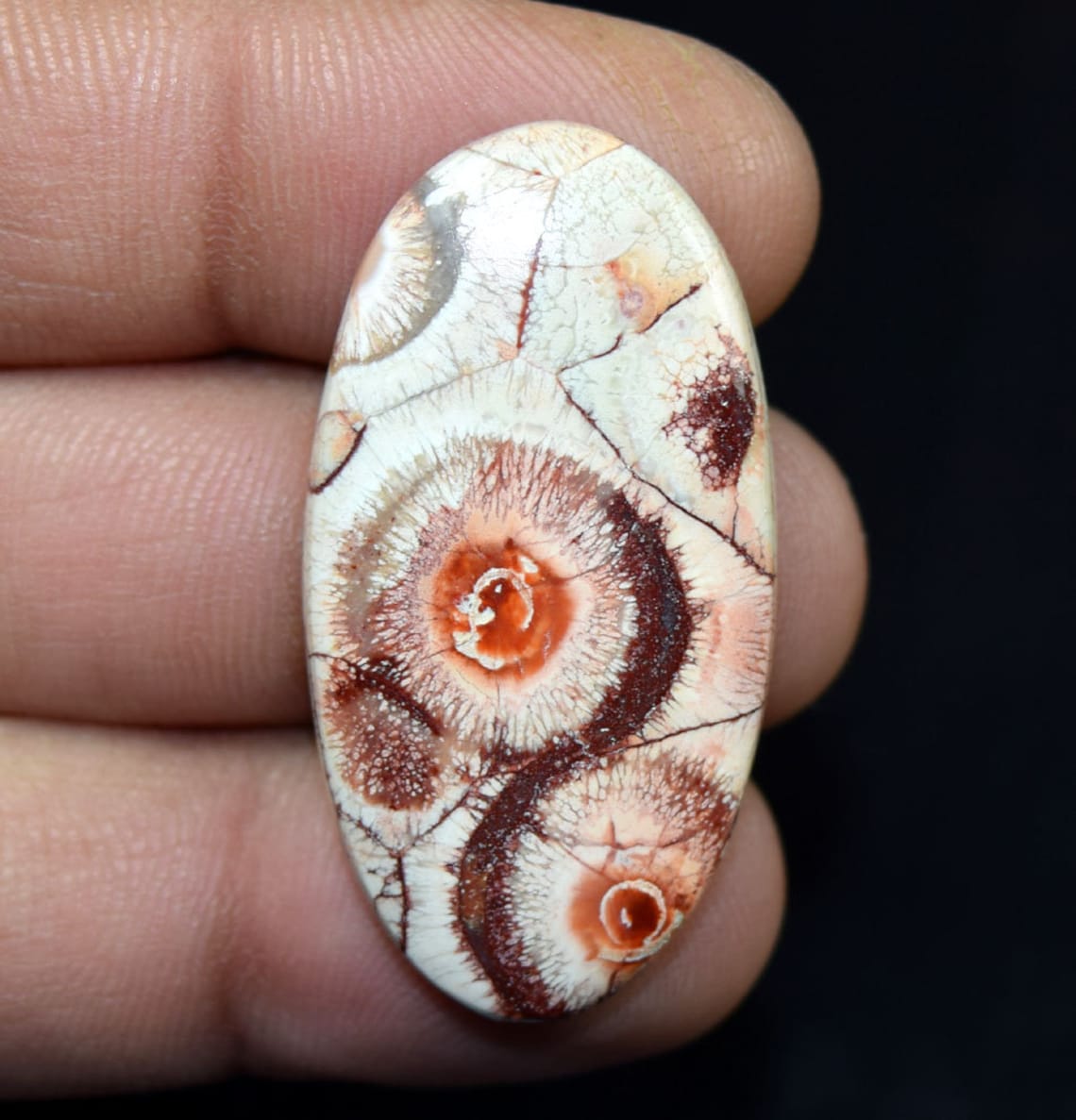 Bird Eye Jasper 100 Natural Bird Eye Jasper Oval Cabochon Etsy