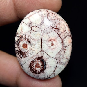 Jaspe oeil d'oiseau 63,55 cts. Cabochon ovale en jaspe oeil d'oiseau 100 % naturel, pierre précieuse en vrac, pour bijoux d'emballage métallique, pendentif en jaspe, bague