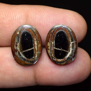 Paire de septarian gronates, boucles d'oreilles 100 % naturelles septarian gronates paire cabochon, paire de pierres précieuses assorties, créateur septarian gronates SE106