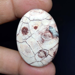 Jaspe oeil d'oiseau 38,55 cts. Cabochon ovale en jaspe oeil d'oiseau 100 % naturel, pierre précieuse en vrac, pour bijoux d'emballage métallique, pendentif en jaspe, bague
