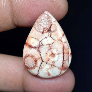 Jaspe oeil d'oiseau 23,45 cts. Cabochon poire jaspe oeil d'oiseau 100% naturel, pierre précieuse en vrac, pour bijoux d'emballage métallique, pendentif jaspe, bague