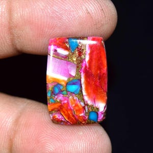 Rara pietra preziosa turchese ostrica rosa spinosa – sorprendente cabochon multicolore con matrice dorata – 13,20 carati