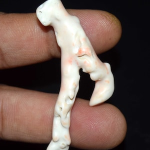 Ramo di corallo bianco naturale, bellissimo corallo bianco giapponese, bastoncino di corallo pelle d'angelo lucido, ramo di albero di corallo per ciondolo 41,80 ct