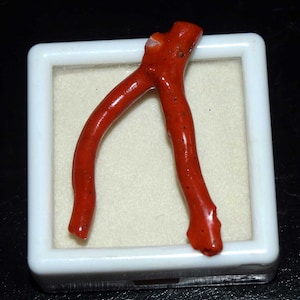 Natuurlijke Italiaanse rode koraal gepolijste koraal stick edelsteen, ruwe koraal stick, ruwe koraal boomtakken hanger maken, koraal sieraden 20,00 cts