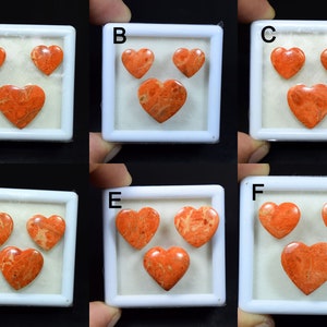 American Orange Sponge Coral Smooth Polish Cuore Incastonato Cabochon Pietra Preziosa Sfusa, Cabochon Corallo Americano, Creazione Anello Argento, Ciondolo SC001