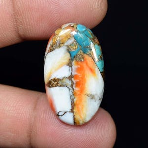 25,70 cts de turquesa-ostra espinhosa laranja | Cabochão com incrustações naturais | Pedra solta de 31 x 18 mm para fabricação de joias | Material exclusivo para artesanato