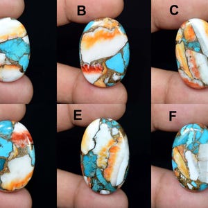 Pierre précieuse naturelle cabochon turquoise huître épineuse pour bijoux NW109
