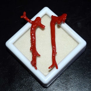 Natuurlijke Italiaanse rode koraal gepolijste koraal stick edelsteen, ruwe koraal stick, ruwe koraal boomtakken hanger maken, koraal sieraden 19,60 cts